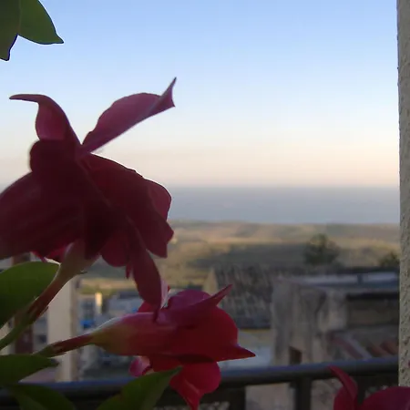 Nocleg ze śniadaniem I Tetti Di Girgenti